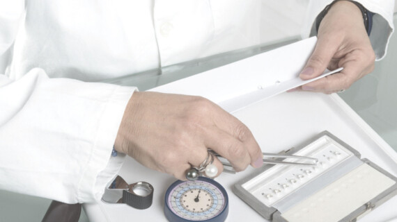 banner2